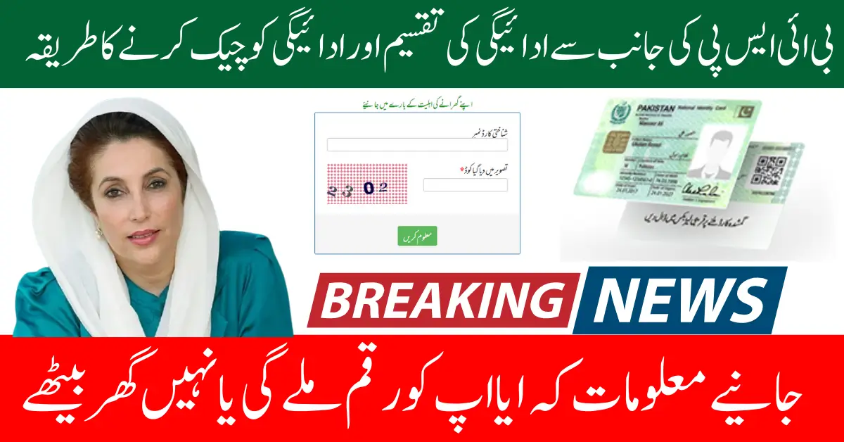 Bisp 8171 Payment Check Discreet 2026 And Check Your PMT Score Now